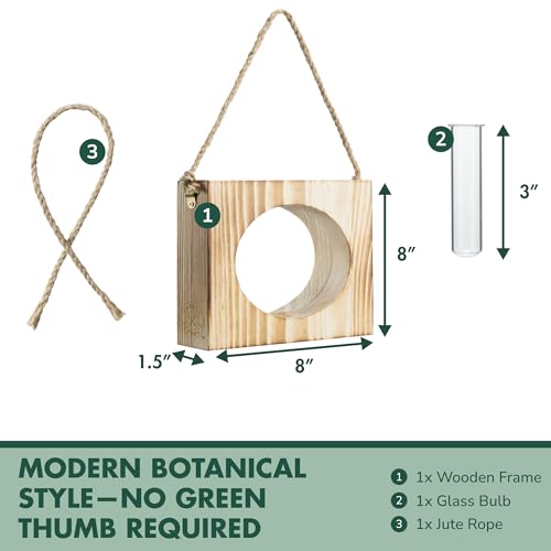 · GARDEN REPUBLIC · Propagation Stations Set of 3 - Propagation Vases for Plants - Hanging Wooden Wall Planter and Glass Test Tubes - Indoor Plant Holder, Hydroponic Decor