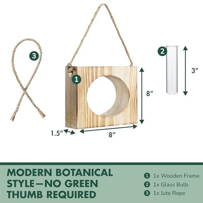 · GARDEN REPUBLIC · Propagation Stations Set of 3 - Propagation Vases for Plants - Hanging Wooden Wall Planter and Glass Test Tubes - Indoor Plant Holder, Hydroponic Decor
