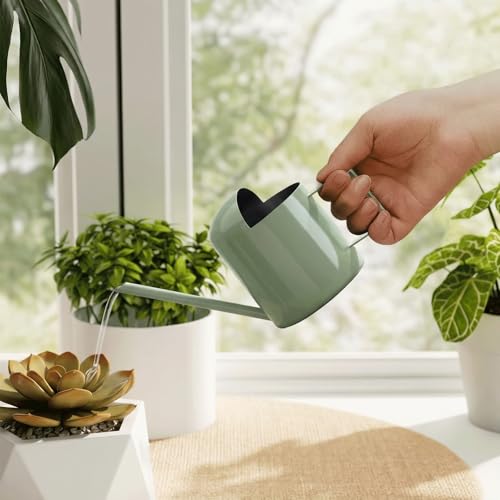Bamworld Small Watering Can Indoor Outdoor Plant Metal Stainless Steel Long Spoutt Flowers Watering Cans for House Garden Plants 10OZ Watering Bottle Cute Stylish Gardening Decoration(Avocado Green) - color: Avocado Green