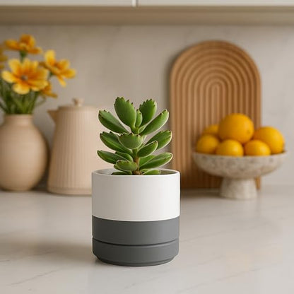 D'vine Dev 4-Pack Ceramic Pots with Saucers, White/Grey, 4.7 in, 94-X-B-6 | Glazed Ceramic, Drainage Hole and Saucer, Sleek Cylinder Shape, High Temperature Fired, Ideal for Small Houseplants - color: White/Speckled Grey, size: 4.7 Inch
