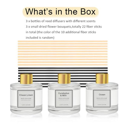 Reed Diffuser Set of 3 Pack,Clean Linen,Vanilla,Lemongrass Scented Oil Diffuser with 4 Sticks,Reed Diffusers for Home,Living Room,Bathroom Air Freshener Diffuser,50ml x 3