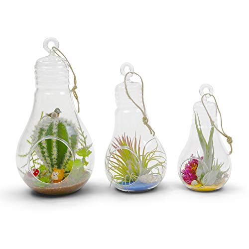 WGV Hanging Glass Plant Terrarium, Width 4.25", Height 8.25", Bulb DIY Air Succulent Planter Clear Tea Light Votive Candle Holder, Wedding Event Office Home Outdoor Decor, 1 Piece - size: Bulb L