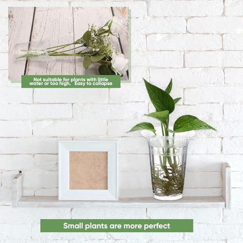 35 Pcs Plastic Plant Propagation Station Desktop Terrariums Plant Tabletop Vase with Hydroponic Baskets for Indoor Home Office Desktop Decor (4.25'',4.57'',5.47'') - size: 4.25'', 4.57'', 5.47''