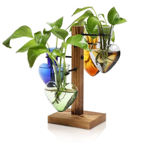 Plant Terrarium Propagation Stations with Wooden Stand | Glass Vase for Indoor Hydroponics Home Garden Office Decoration Gift for Women - 4 Love Bulb Vase - color: Color-02