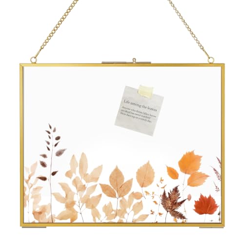 8x10 Pressed Flower Frame Gold, Double Glass Floating Hanging Picture Frame | Dried Flower Clear Frame with Metal Chain, Vintage Brass Photo Frame, Display Plant Specimen Artwork, Horizontal, Wall Decor - size: 10X8