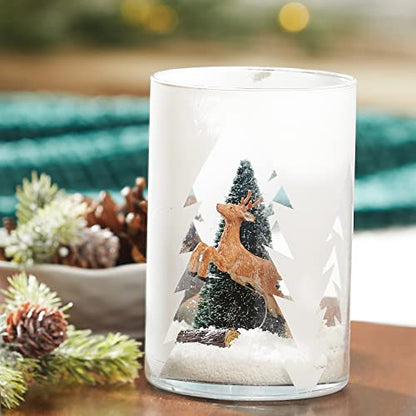 Yankee Candle Balsam & Cedar Scented Classic Large 22oz Dual-Wick Tumbler Candle Over 75 Hours Burn Time - color: Balsam & Cedar, size: Large 2-Wick Tumbler