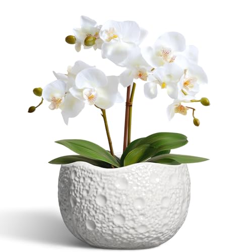 Ceramic Pots for Plants - 6 Inch Plant Pot for Indoor Outdoor, Decorative Orchid Pots with Drainage Hole, Unique Round Modern Planters, Home Decor, Gifts for Plant Lovers, White - color: White, size: 6.2 Inch