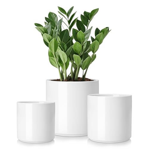 vancasso Ceramic Plant Pots, 4.25+5.25+6.25 Inch Planter Pot with Drainage Hole, Flower Pots for Indoor Outdoor Plants, Set of 3, White - color: White, size: 4+5+6 Inch
