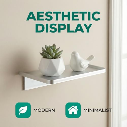 EHKIT Small Floating Shelf Heavy Acrylic Adhesive Stick on Sticky Strips/Nail Screws wall Mount Bathroom Organizer Wipes Phone Glasses Essential Oil Perfume (Silver) - color: Silver