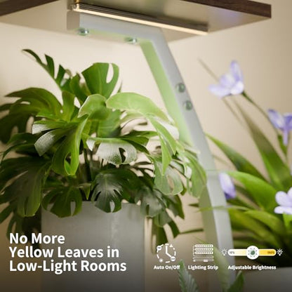 CODACE Plant Stand with Grow Lights - 50" Indoor Plant Shelf | 6 Tiered Plant Shelf Indoor, Lighted Tree-Shaped Plant Holder, Tall Flower Display Rack for Living Room, Patio(White) - color: White