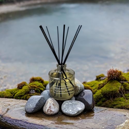 Bellevue Reed Diffuser, 6 fl oz Glass Filled Diffuser, Highly Concentrated Fragrances with Essential Oils, Home Fragrance, Scent:Driftwood Sand (Pack of 2) - size: PACK OF 2