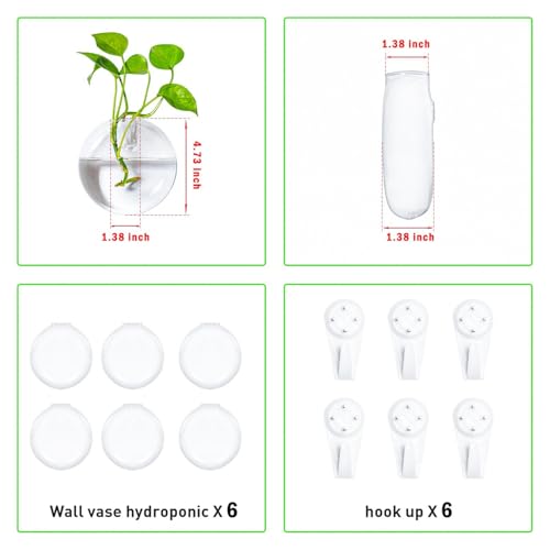 Vumdua 6 PCS Glass Wall Hanging Planters for Flowers, Hydroponics, Indoor Use, Medium, Transparent, Round, Classic Style