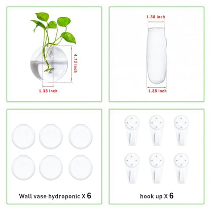 Vumdua 6 PCS Glass Wall Hanging Planters for Flowers, Hydroponics, Indoor Use, Medium, Transparent, Round, Classic Style