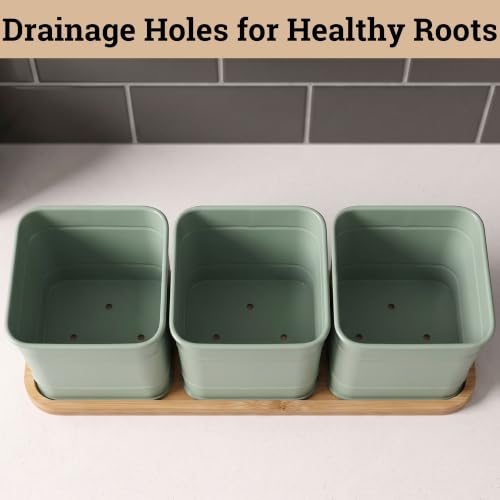 Herb Planter Indoor, 3-pc Herb Pots w/ Drainage Holes, Bamboo Tray & Labels | Iron Herb Pots, Varnished Bamboo Tray with Anti-Skid Base, Customizable Oval Sticker and Stick Labels & Chalkboard Marker Pen - color: Sage Green