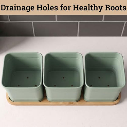 Herb Planter Indoor, 3-pc Herb Pots w/ Drainage Holes, Bamboo Tray & Labels | Iron Herb Pots, Varnished Bamboo Tray with Anti-Skid Base, Customizable Oval Sticker and Stick Labels & Chalkboard Marker Pen - color: Sage Green
