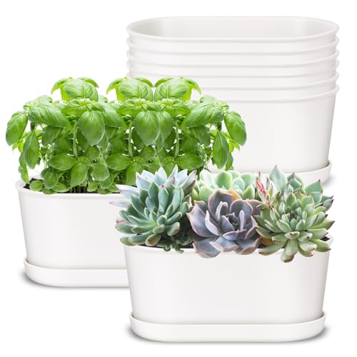 Set of 8 White Oval Window Sill Planters with Drainage Holes and Trays（7 Inch） for Herbs Basil Orchids Succulents, Modern Herb Garden Planter for Indoor/Outdoor Plants - size: 7 x 3.95 x 3.15-inch