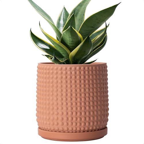 D'vine Dev Beaded Terracotta Pot with Saucer, 6 in, Terra Cotta, 27-C-X-7 | Embossed Dot Texture, Smooth Glazed Finish, Timeless Vintage Charm, Drainage Holes, Stylish Accent for Modern Home Décor - color: Terracotta, size: 5.8 Inch