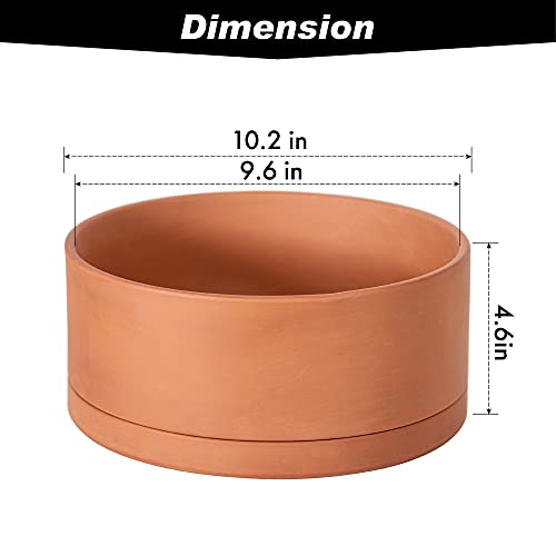D'vine Dev Terracotta Shallow Planter Pot with Saucer, 10 in, 40-Y-B-0 | Wide Bowl Design, Unglazed Terracotta, Porous & Breathable, Minimalist Style, Ideal for Succulent Arrangements - size: 10 Inch