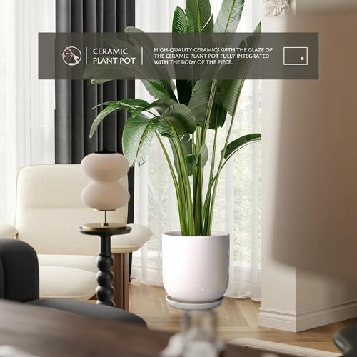 12in Plant Pot，Ceramic Plant pots，Ceramic Planter for Indoor Plants Outdoor,Mid-Century Modern Home Decor, Modern Flower Pot, Large Plant Pot with Drainage Hole and Saucer - size: 12IN