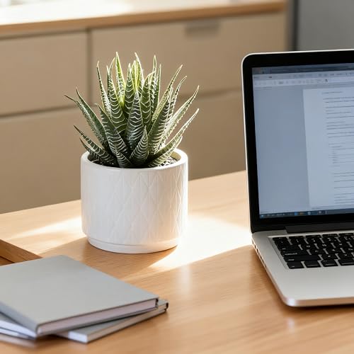 Kurrajong Farmhouse Artificial Succulent Plant in Matte White Ceramic Pot | 7" high Dark Green Aloe Plant | Great as Desk Decor or Bathroom Decor | Beautiful Realistic Faux Succulent