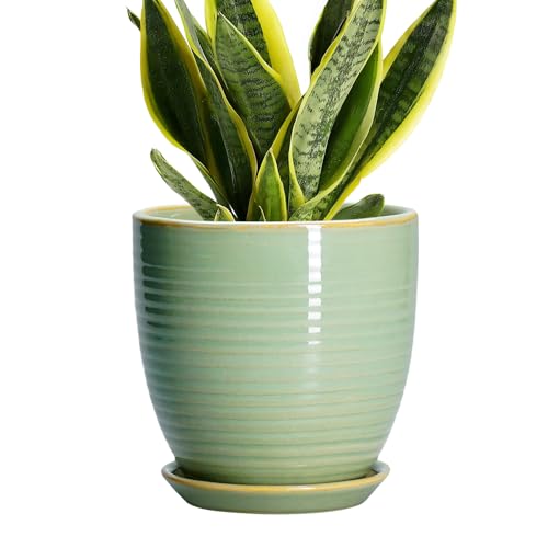 Ceramic Plant Pots - 6 Inch Ceramic Planter with Drainage Hole and Saucer, Modern Planters for Indoor Outdoor Plants, Round Flower Pots, Office House Decor, Gifts for Women Men, Bright Green - color: Bright Green, size: 6 Inch
