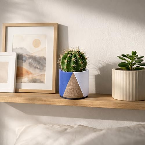 D'vine Dev 2-Pack Cachepot with Clear Pot, 3.5 in, Cobalt Canyon, 93-V-A-3 | Dual-Pot System, Root Visibility, Bottom Watering Support, Enhanced Drainage, Artistic Stoneware Design, Easy Plant Care - color: Cobalt Canyon, size: 3.5” Cachepot + 3“ Clear Gr