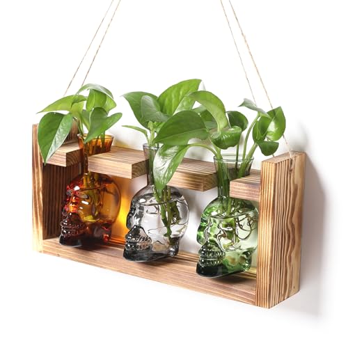 Plant Terrarium Propagation Stations Skull Planter Vase Skulls Decor | Hydroponics Halloween With Wooden Stand Gife for Father - color: Color-04