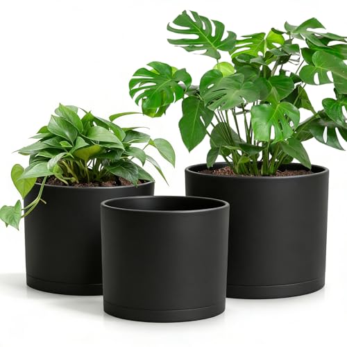 Large Plant Pots Set of 3 – 8", 9", 10" Indoor Flower Pots with Drainage Holes and Saucers, Big Planters for Monstera, Fiddle Leaf Fig, Snake Plant – 5 Colors - color: Black