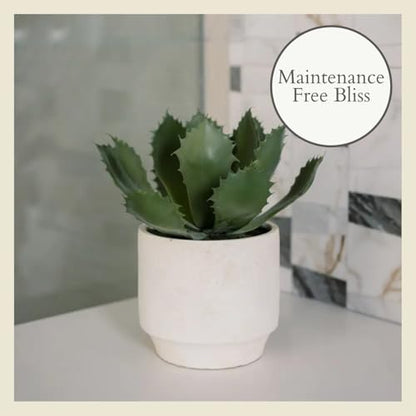 CG Hunter Round Faux Succulent Arrangement, Set-of-2 Premium Artificial Indoor Plants Enhances Interior Design, Display on Any Surface in Your Home Adding an Inviting Touch of Nature, Pots Included - size: 10" Round Set-of-2