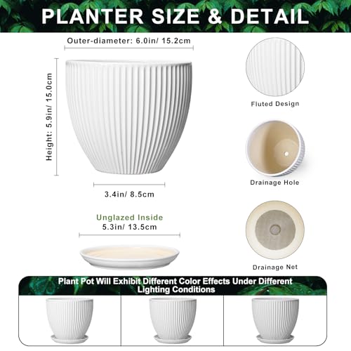 Ceramic Pots for Plants, 6 Inch Plant Pot with Drainage Hole and Saucer, Round Ceramic Flower Pots for Indoor Plants, Modern Small Succulent Planter, Room Home Decor, Plant Lover Gifts, White - size: 6 Inch, style: White