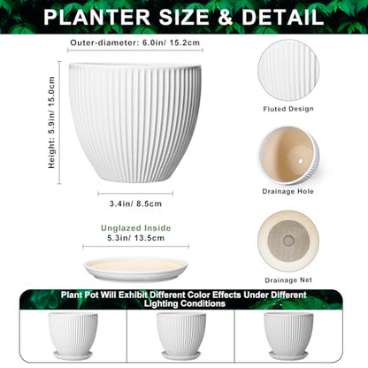 Ceramic Pots for Plants, 6 Inch Plant Pot with Drainage Hole and Saucer, Round Ceramic Flower Pots for Indoor Plants, Modern Small Succulent Planter, Room Home Decor, Plant Lover Gifts, White - size: 6 Inch, style: White