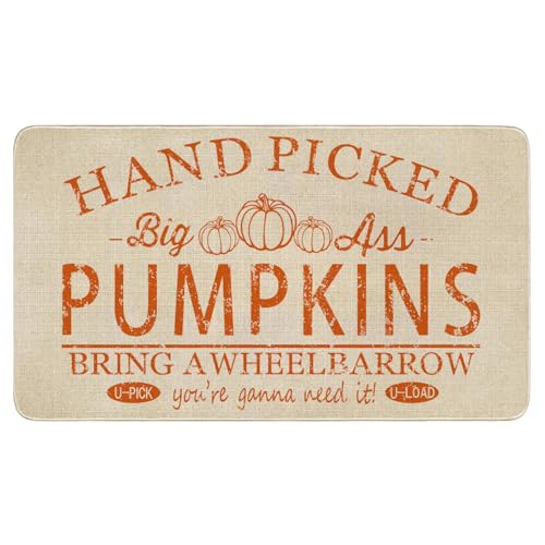 Fall Door Mat Outside,Hand Picked Pumpkin Welcome Mat for Front Door,Thanksgiving Autumn Indoor Outdoor Non-Slip Rugs,Fall Doormat for Farmhouse Home Porch Decorations 30" x 17" - color: Fall 1