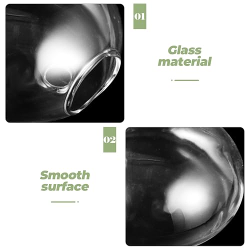 Wall Hanging Hydroponic Glass Vase for Plants, Flat Glass Terrarium Planter, Balcony and Home Décor, 1pcs Set