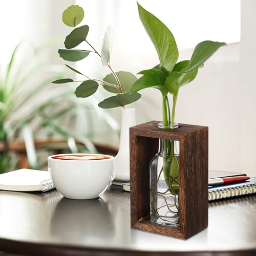 Rustic Wooden Plant Propagation Station with Visibility and Easy Maintenance, Hydroponic Glass Vase Planter for Plants, for Coffee Tables and Tabletop Decor