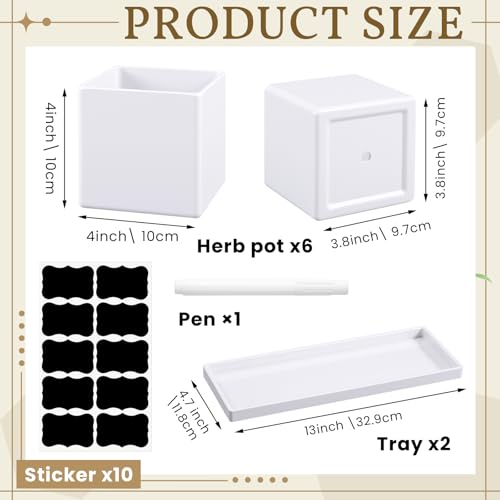 6 Pcs Herb Garden Planter Set Herb Garden Kit Indoor Plastic Plant Pots with Drainage and Saucer Succulent Cactus Vegetable Window Boxes Planter for Windowsill Indoor Outdoor Pots