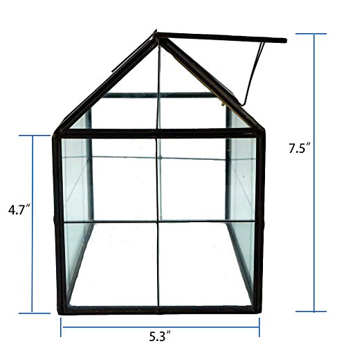 Glass Terrarium, House Shape Geometric Succulent Terrarium with Swing Lid Tabletop Planter Box Mini Indoor Greenhouse for Fern Moss Air Plants Miniature Housewarming Gift