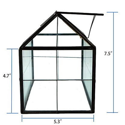 Glass Terrarium, House Shape Geometric Succulent Terrarium with Swing Lid Tabletop Planter Box Mini Indoor Greenhouse for Fern Moss Air Plants Miniature Housewarming Gift