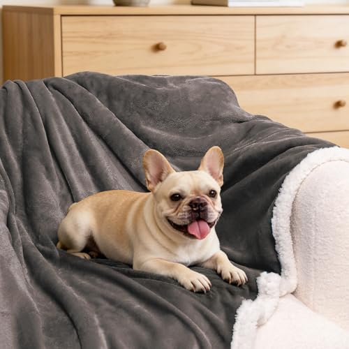 BEAUTEX Sherpa Fleece Twin Blankets Soft Fluffy Flannel Plush Cozy | Fuzzy Coffee Cuddle Blanket for Couch, Bed, Sofa, Adults (60" x 80", Coffee) - color: Coffee, size: Twin-60"x80"