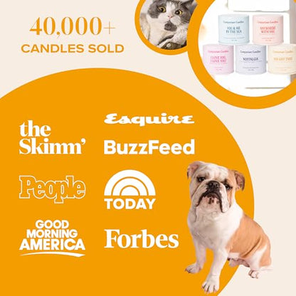 You Got This! Pet-Friendly Scented Candle – Tropical Nectar & Fruits Fragrance - Coconut Soy Wax Candle with Wooden Wick, Approx. 50-Hour Burn Time, Made in USA, 11.8 oz - color: You Got This!