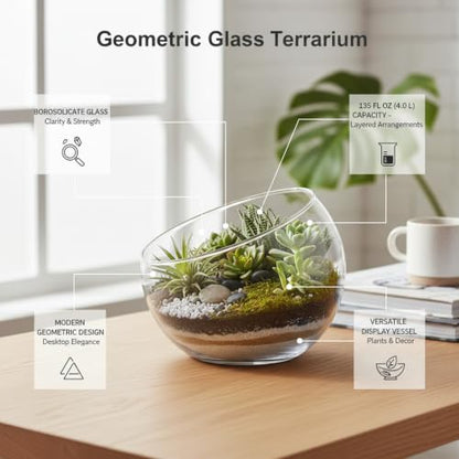 Geometric Glass Terrarium, Borosilicate Planter for Succulents and Air Plants, Desktop Display Vessel (1 PC)