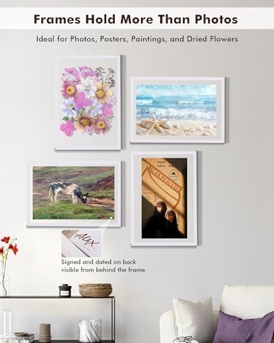 DLQuarts 13x19 Floating Picture Frame for 11x17/11x14 Photos, 2-Pack Solid Wood Double Plexiglass Wall Art Frames, Any Size Photo up to 13x19 Display, White - color: Chalk White, size: 13x19