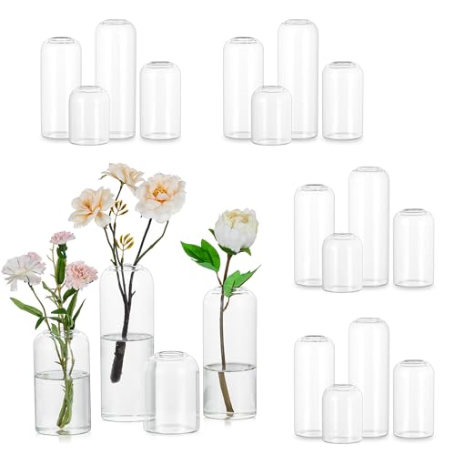 Hewory Glass Bud Vases for Flowers: 20PCS Modern Clear Small Vases Bulk | Centerpieces for Wedding, Party, Events, Floral Arrangement for Home Decor, Tall, Highball, Simple, Medium Bottle
