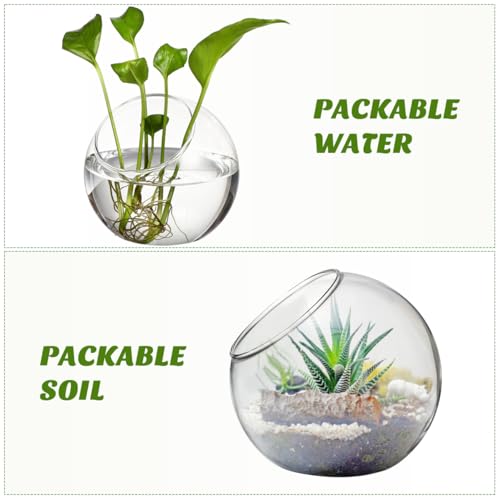 3 Pcs Glass Terrarium Air Plant Planters - Slant Cut for Home Office Decor, Succulent & Air Plant Containers, Transparent Glass Vases for DIY Gifts, Weddings, Housewarming