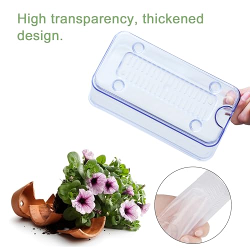 4pk Self-Watering Windowsill Planters, Clear Plastic w/Drainage Holes | 7.8"x5.4"x4", Rectangular Flower Pots, Plant Growth Observation Box for Kids