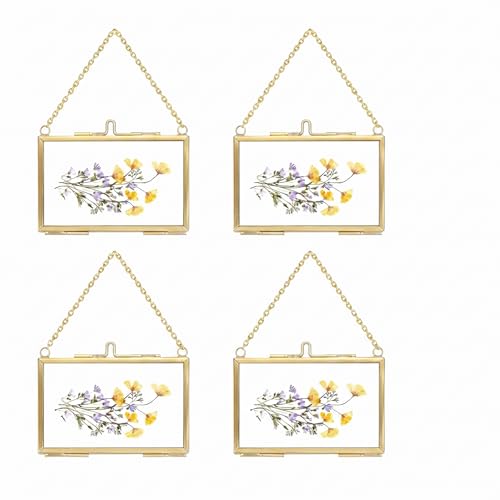 4 Pcs Pressed Flower Frame, Wall Hanging Tabletop Display Double Glass Frames with Metal Chain for Pressed Dried Flowers Plants, Horizontal and Vertical Picture Frame, Black, FRAMES ONLY - color: Balck-H-4