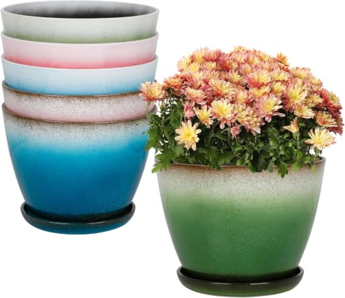 Worth Garden Plastic Round 8" Plant Pots - Set of 6 Multicolor Small Gloss Flower Pot Planters with Drainage Hole and Saucer - Home Decorative Christmas Containers