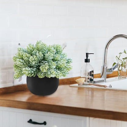 Winlyn Set of 3 Artificial Succulent Plants in Black Concrete Pots Faux Aloe Hops String of Pearls Potted Plants Small Fake Plants Desk Plants for Home Office Desk Kitchen Bathroom Shelf Windowsill - color: Black Pots