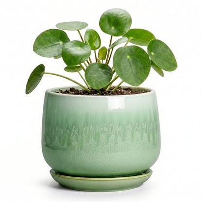Ceramic Plant Pots - 4 Inch Pots for Plants with Drainage Hole and Saucer, Small Succulent Pot for Indoor Plants, Round Ceramic Planter, Home Office Decor, House Warming Gifts, Green - size: 4 Inch, style: Green