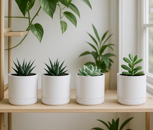 D'vine Dev 4-Pack Ceramic Pots with Saucers, White, 4.7 in, 94-X-B-1 | Glazed Ceramic, Drainage Hole and Saucer, Sleek Cylinder Shape, High Temperature Fired, Ideal for Small Houseplants - color: White, size: 4.7 Inch
