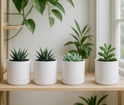 D'vine Dev 4-Pack Ceramic Pots with Saucers, White, 4.7 in, 94-X-B-1 | Glazed Ceramic, Drainage Hole and Saucer, Sleek Cylinder Shape, High Temperature Fired, Ideal for Small Houseplants - color: White, size: 4.7 Inch